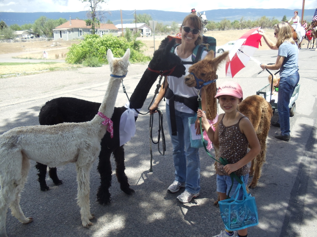 Susie Hirsch and alpacas